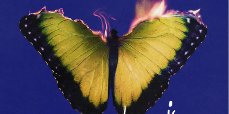 maroon 5 2025 08 18 073936