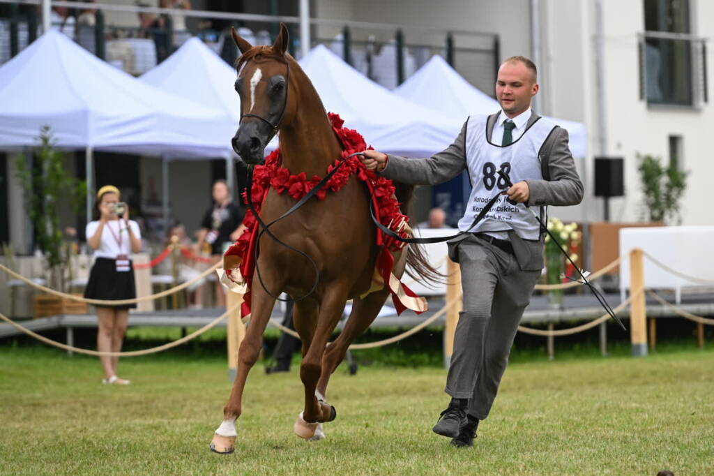 mid 25810239 2025 08 10 145003