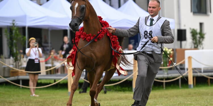 mid 25810239 2025 08 10 145003