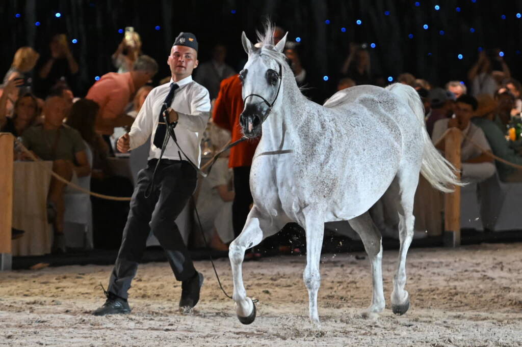 mid 25810486 2025 08 11 200950