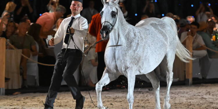 mid 25810486 2025 08 11 200950