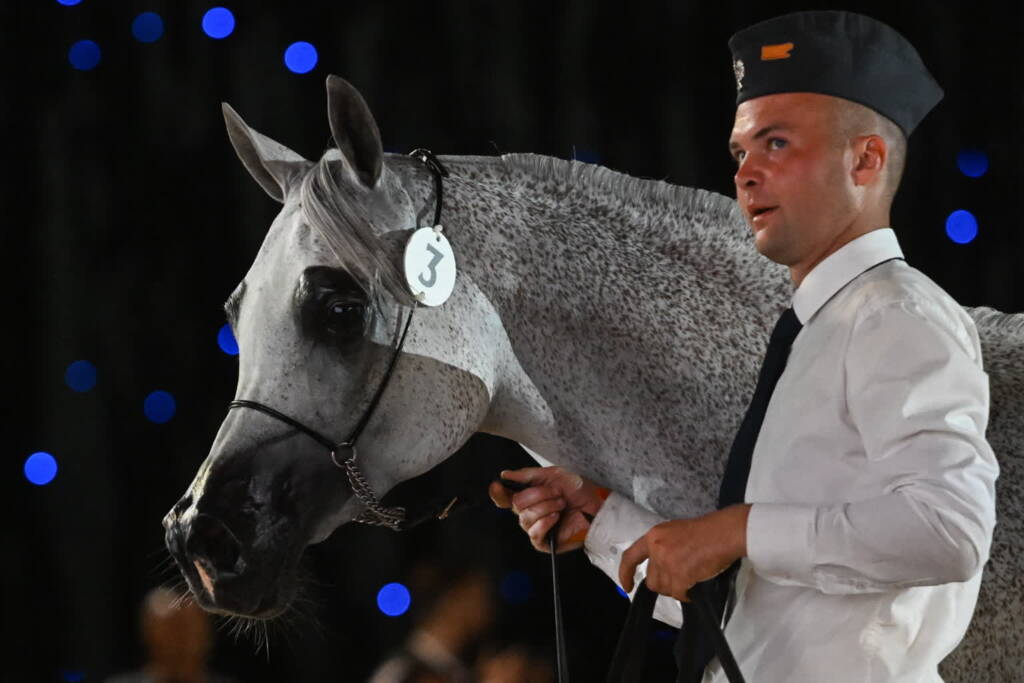 mid 25810487 2025 08 10 192404