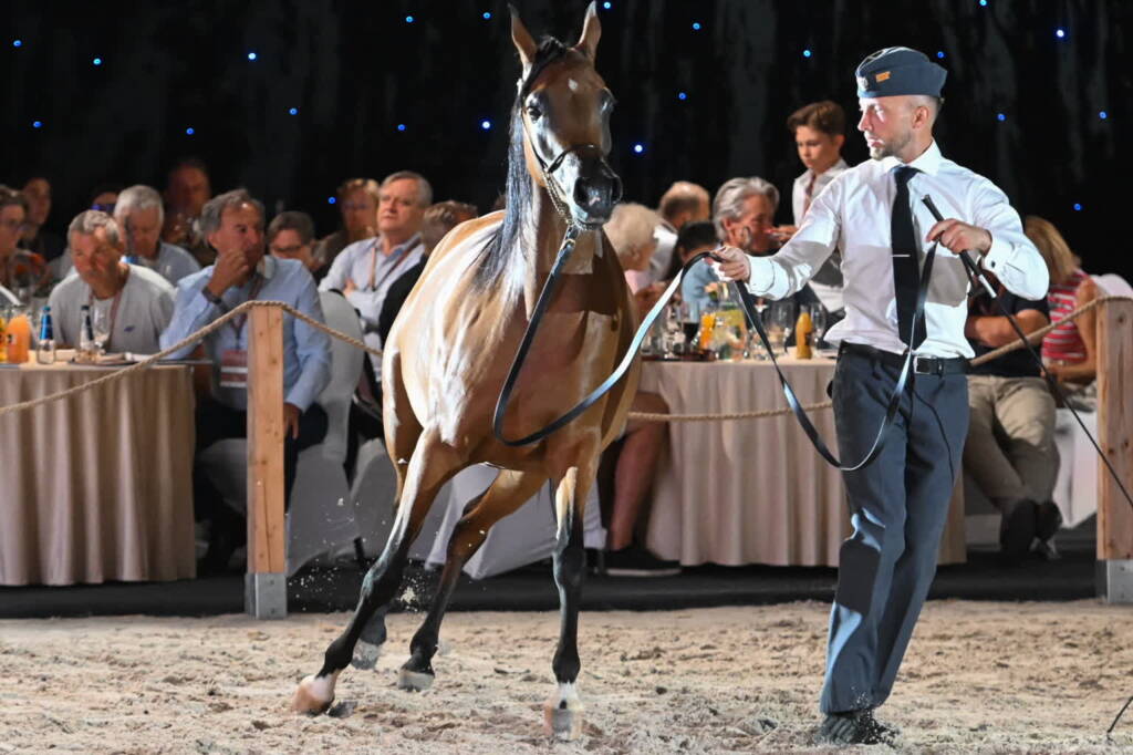 mid 25810533 2025 08 11 062700