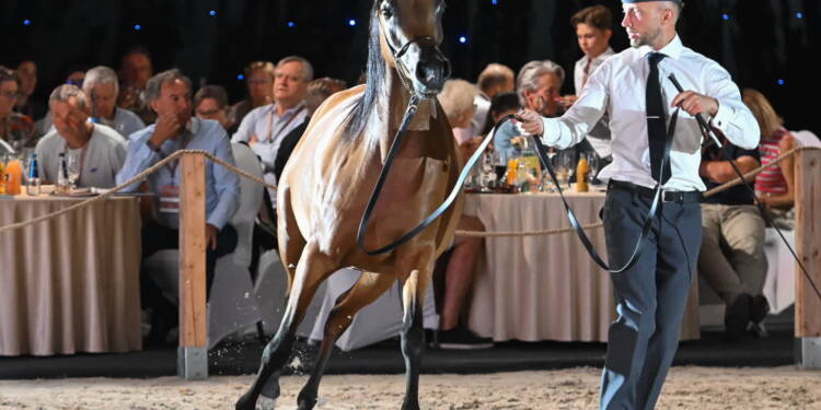 mid 25810533 2025 08 11 062700