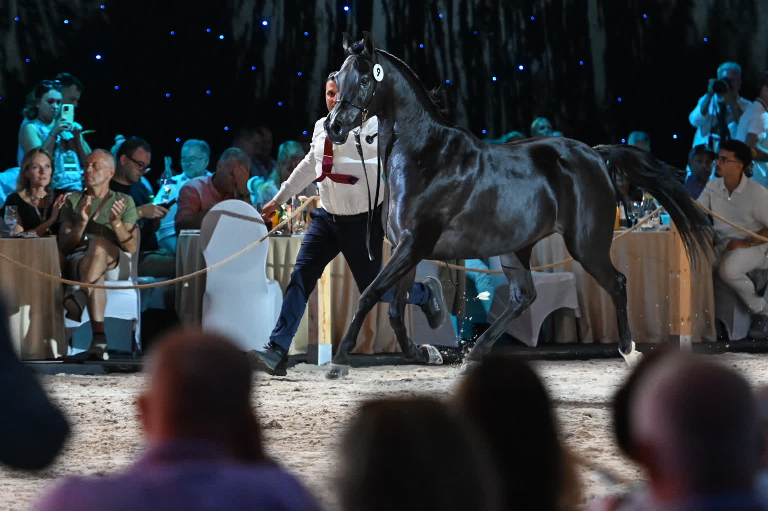 "Aukcję należy zaliczyć do udanych". Podsumowanie janowskiego święta koni arabskich 4 mid-25810538.jpg