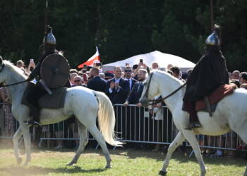 mid 25817266 2025 08 17 171848