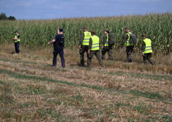 mid 25820136 2025 08 21 095819