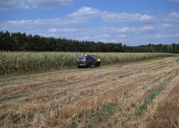 mid 25820137 2025 08 21 131101