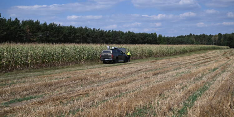 mid 25820137 2025 08 21 131101