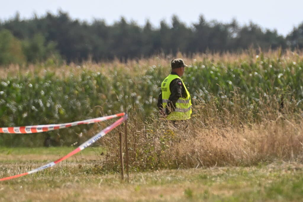 mid 25821268 2025 08 22 100929