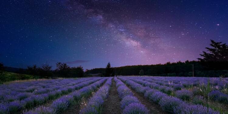 milky way 4526277 1280 2025 08 03 170625