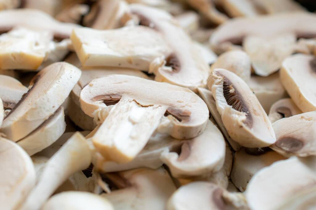 mushrooms 7635383 1280 2025 08 18 122613