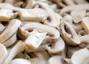 mushrooms 7635383 1280 2025 08 18 122613