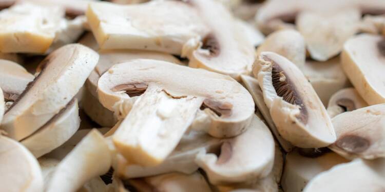 mushrooms 7635383 1280 2025 08 18 122613