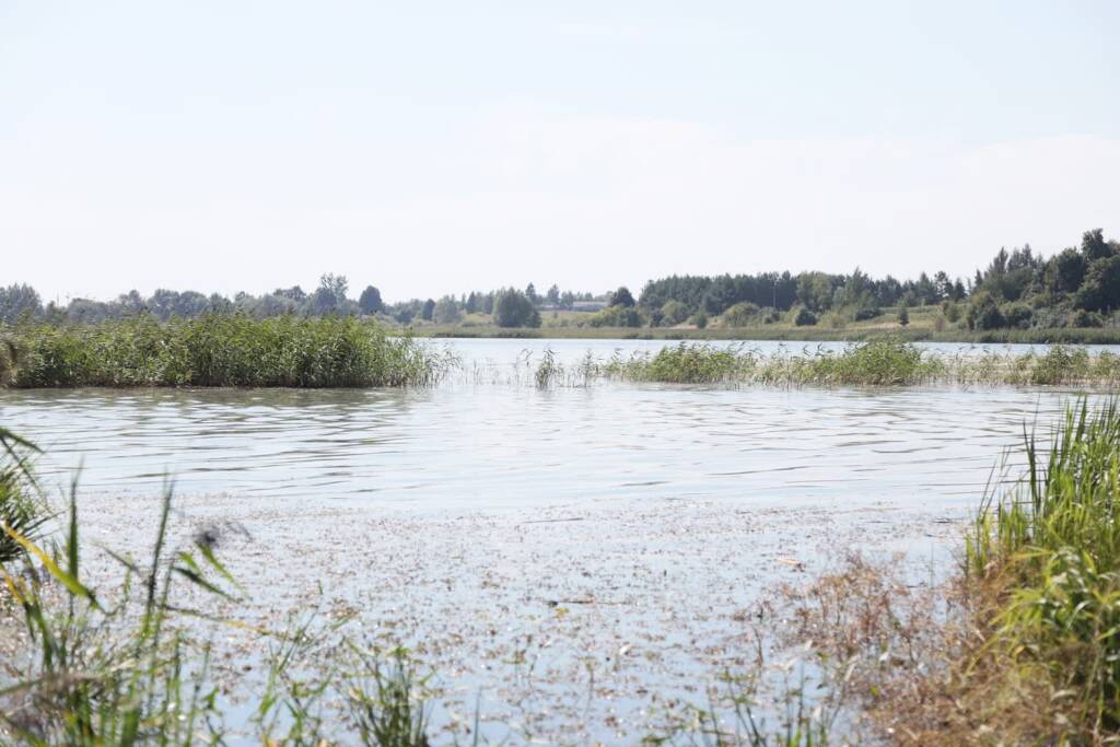 nielisz 260822 010 2025 08 26 213621