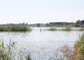 nielisz 260822 010 2025 08 26 213621