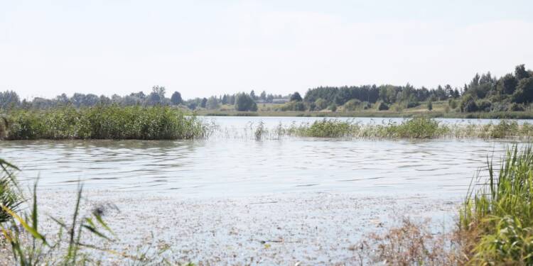 nielisz 260822 010 2025 08 26 213621