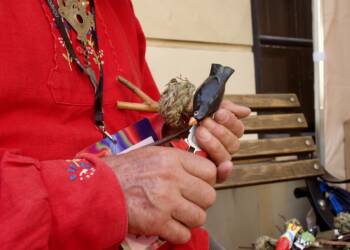 p1010304 2025 08 23 160727