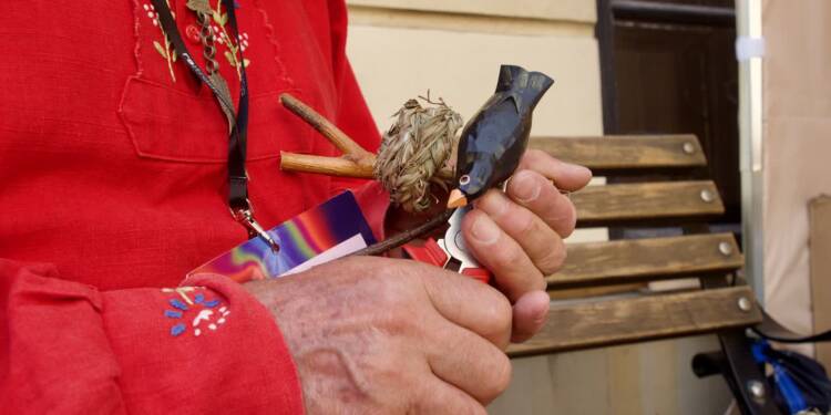 p1010304 2025 08 23 160727