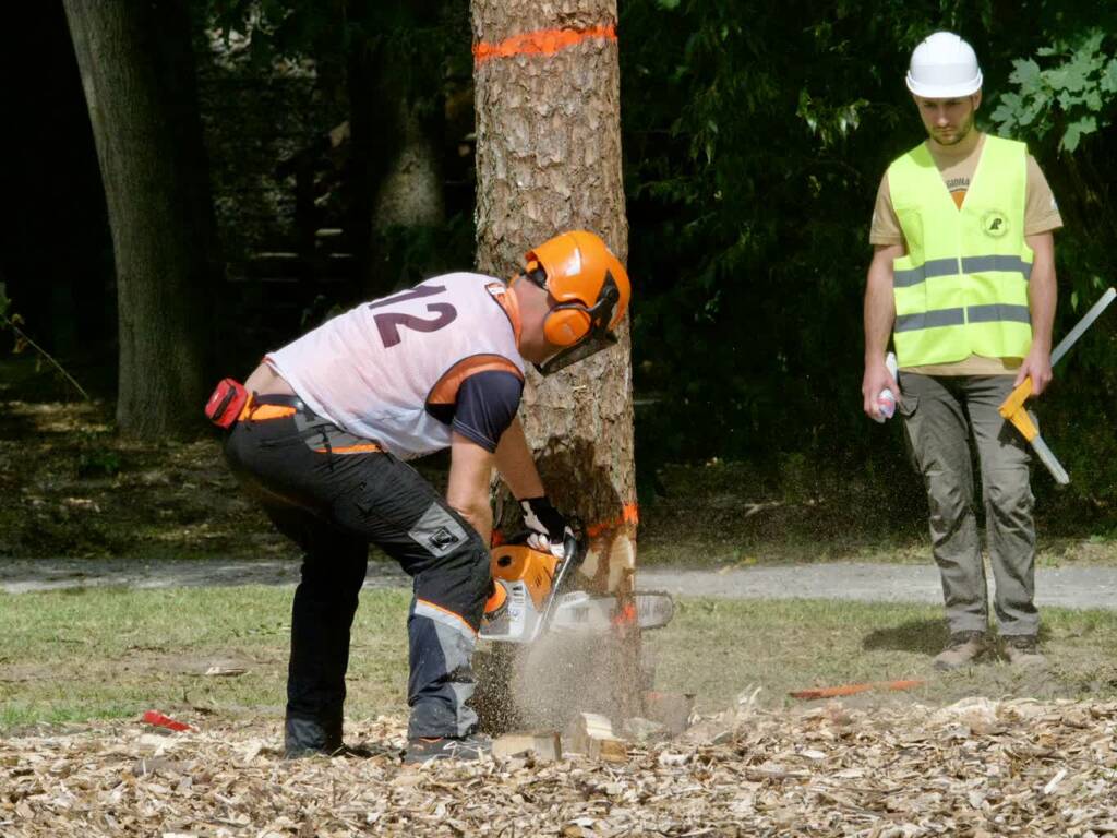 p1010851 2025 08 23 205234