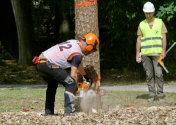 p1010851 2025 08 23 205234