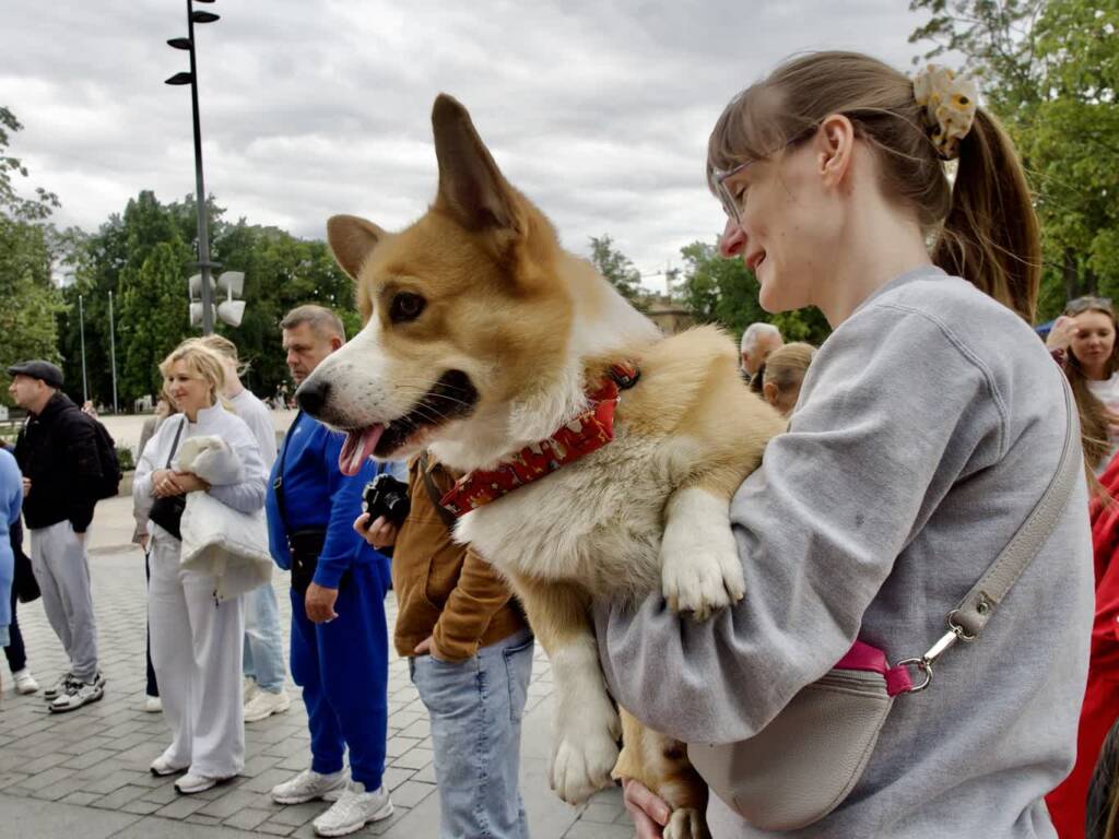 p1011335 2025 08 24 224319