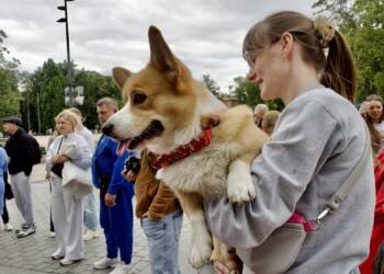 p1011335 2025 08 24 224319