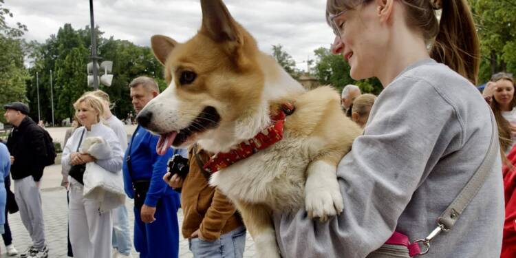 p1011335 2025 08 24 224319