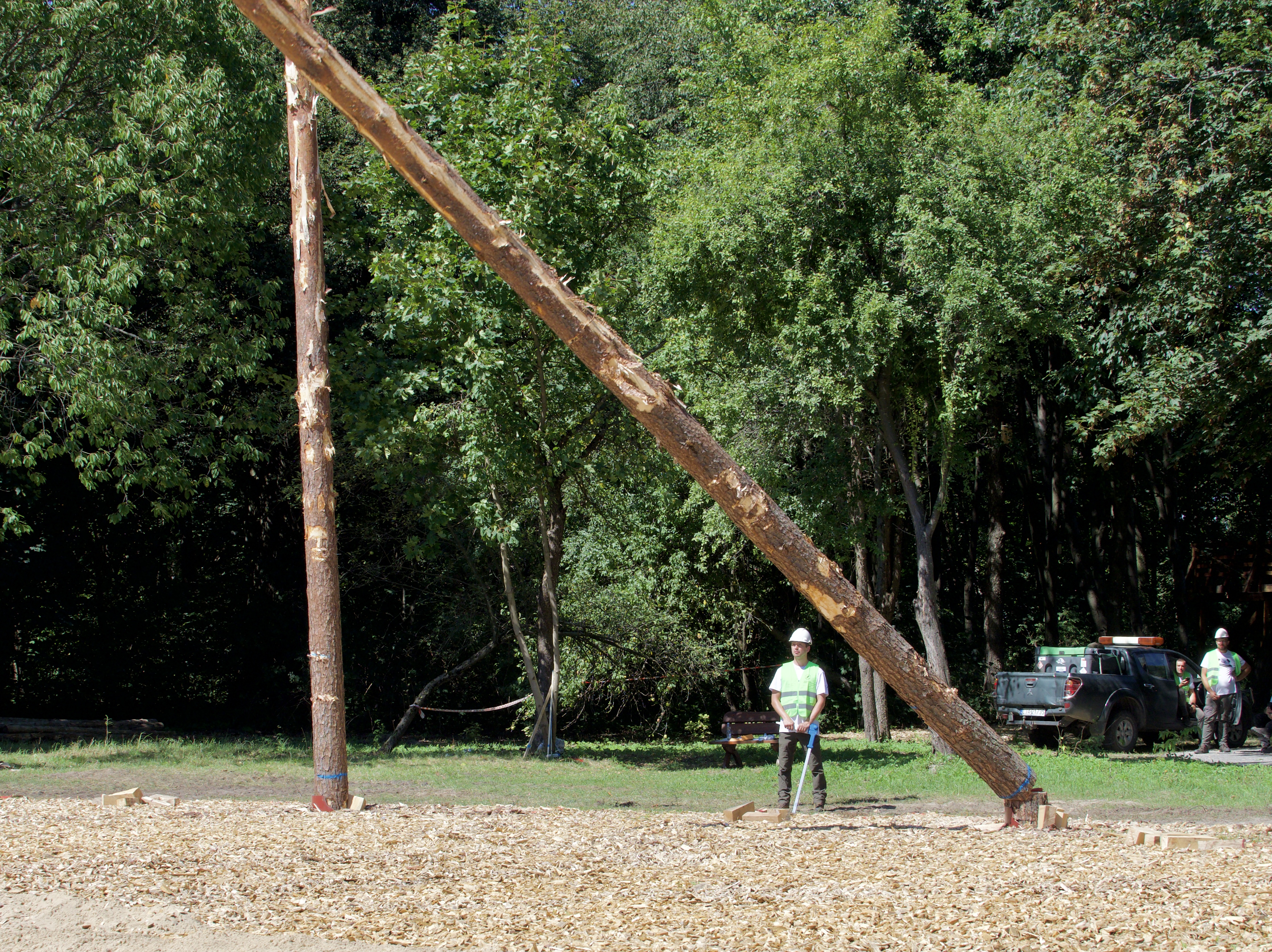23.08.2025 Leśne wędrowanie