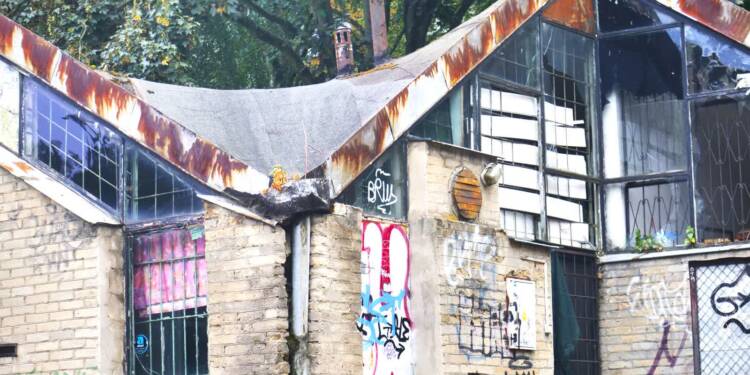 pawilin 1 2025 08 04 012358