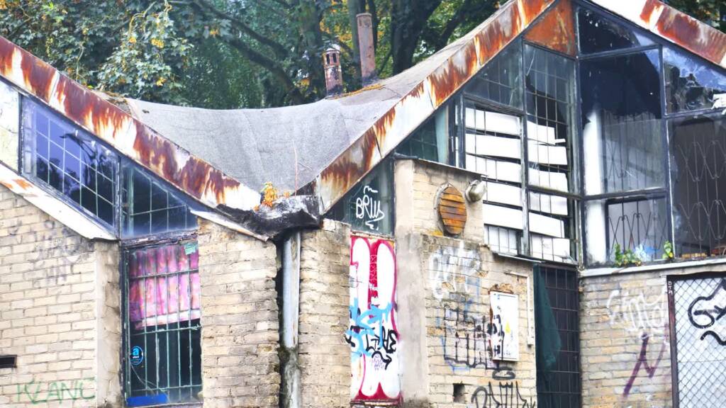 pawilin 1 2025 08 10 101842