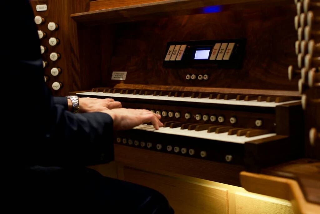 pexels am83 13039043 2025 08 19 213652