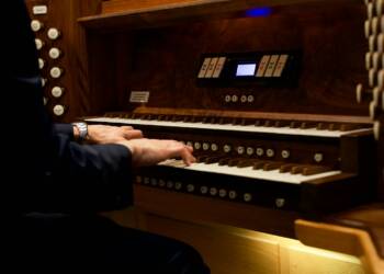 pexels am83 13039043 2025 08 19 213652