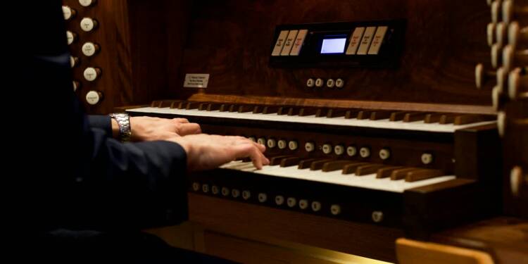 pexels am83 13039043 2025 08 19 213652