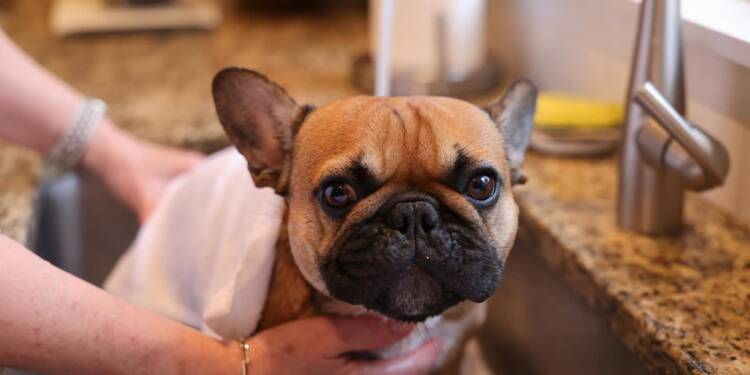 pexels david kanigan 239927285 20741415 2025 08 07 103229