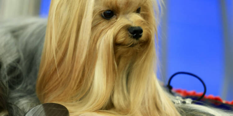 pexels dmitry ovsyannikov 271243380 23427660 2025 08 06 073645