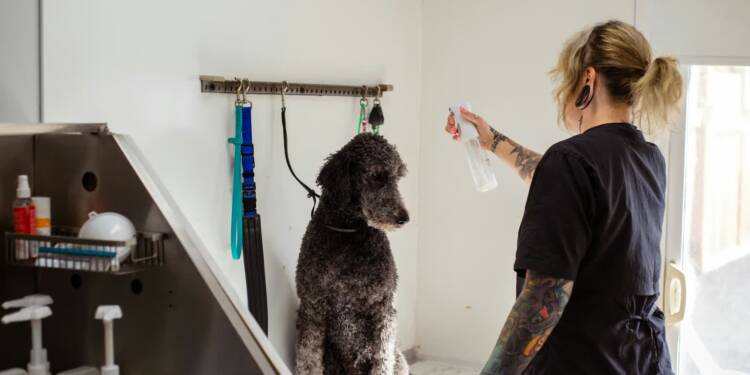 pexels goochie poochie 19145875 2025 08 12 064609