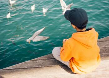 pexels huy phan 316220 1377069 2025 08 18 192013