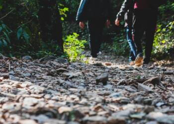 pexels ibrahim 584244 2576235 2025 08 22 084531