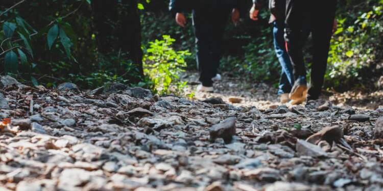 pexels ibrahim 584244 2576235 2025 08 22 084531