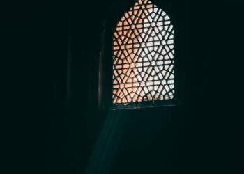 pexels jodaarba 3254036 2025 08 09 130219