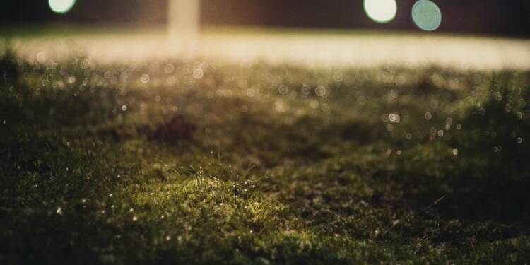 pexels lukas hartmann 304281 1055614 2025 08 12 161049