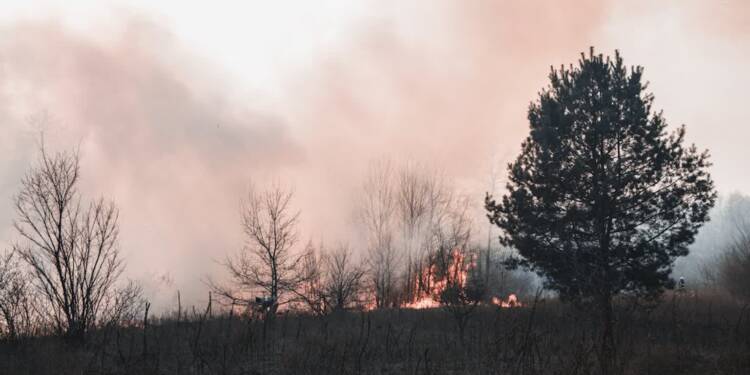 pexels photo 4070651 2025 08 02 004634