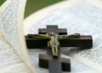 pexels pixabay 161034 2025 08 16 133644