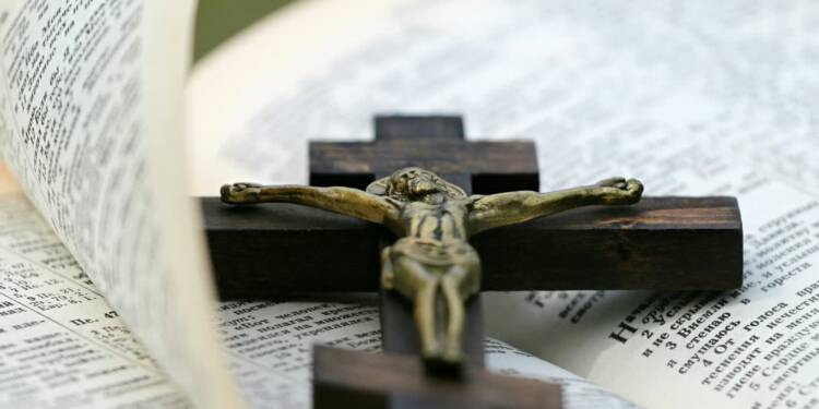 pexels pixabay 161034 2025 08 16 133644