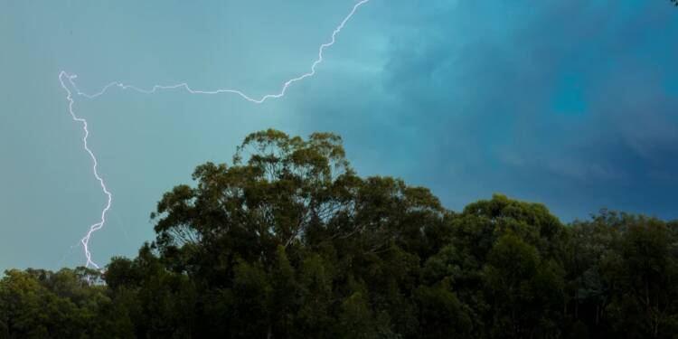 pexels shiva smyth 394854 1051425 2025 08 01 073227