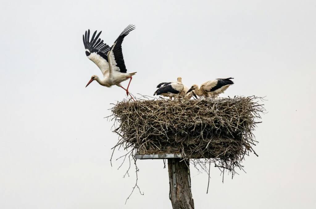 pexels simonbb 14982657 2025 08 16 090618