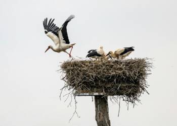 pexels simonbb 14982657 2025 08 16 090618