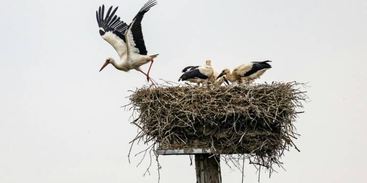 pexels simonbb 14982657 2025 08 16 090618