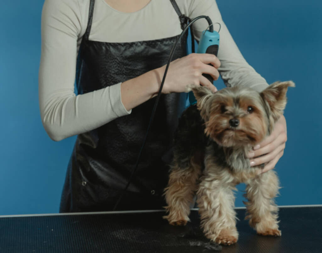 pexels tima miroshnichenko 6131003 2025 08 05 094053